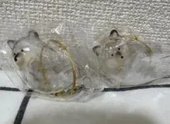 うちの子のけだまだま 犬 黒柴