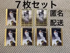 Item thumbnail for item 30cf51b0-7fc9-42ce-9bba-f4ee23181915