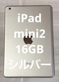 Apple iPad mini 2 16GB