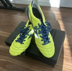 MORELIA NEO2