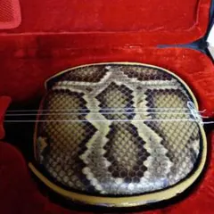 Item thumbnail for item 3f6d087c-e031-4f1b-9585-b8fe7fba18e9