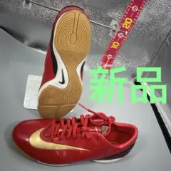 NIKE ナイキ マーキュリアル ベロチ V ICトレーニングシューズ 26