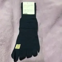 Item thumbnail for item 049cfeb0-481d-401a-b0fe-7059b808e747