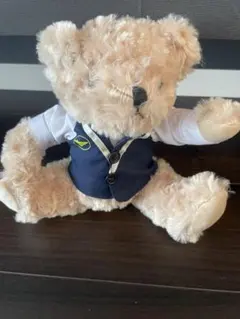 ネイビーのスーツを着たテディベア　MIATモンゴル航空