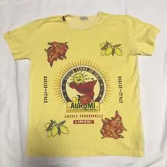 4-1 Dolce & Gabbanaドルガバ Tシャツ サイズ9/10のサムネイル