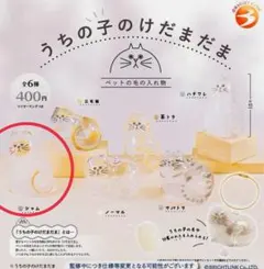 正規品　うちの子のけだまだま　シャム②