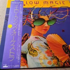 YMO（イエロー・マジック・オーケストラ）希少US版と国内版、レコード2枚セット YMO（イエロー・マジック・オーケストラ）希少US版と国内版、レコード2