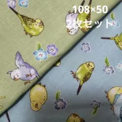 シーチング生地　インコ　ブルー　グリーン　1M 鳥　インコ柄　日本製　50㎝2枚
