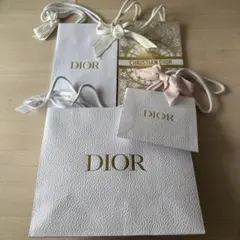 Dior ショッパーセット ４枚