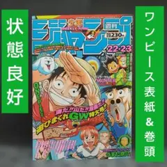 少年ジャンプ 1999年24号 ワンピース表紙号 - メルカリ