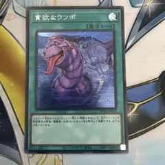 貪欲なウツボ　シク　シークレット