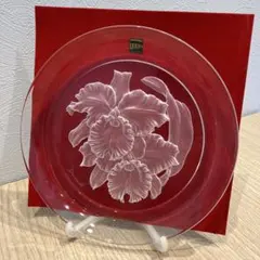 Item thumbnail for item 899507d0-f494-42df-b27f-81dcdc0cbe8b