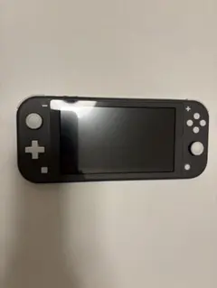 Nintendo Switch Lite グレー 充電器付き