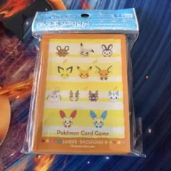 pkymn様 リクエスト 2点 まとめ商品