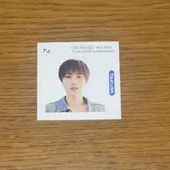INI PULSE ステッカー 尾崎匠海