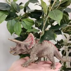 シュライヒ　トリケラトプス フィギュア 恐竜 模型