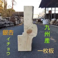 Item thumbnail for item 2d2d30bb-c63f-4496-b1ba-1873bbd0950b