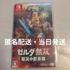 ゼルダ無双 厄災の黙示録 Nintendo Switch