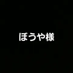 ぼうや様 リクエスト 2点 まとめ商品