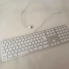 Apple キーボード A1243のサムネイル