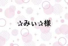 ✰みぃ✰様専用ページ