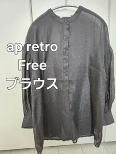 ap retro シアーシャツ　ブラウス【美品】のサムネイル
