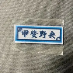 アクリルヘアクリップ　埼玉西武ライオンズ　甲斐野央