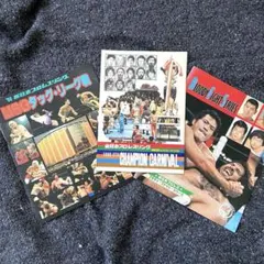 2025年最新】MSGタッグリーグ戦の人気アイテム - メルカリ