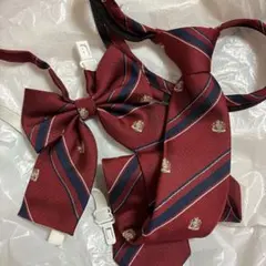 制服　リボンとネクタイの5セット