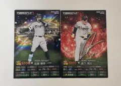 プロ野球チップスカード 阪神セット