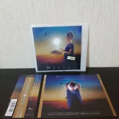 Metis『めぐる愛の中で』J-REGGAE レゲエシンガー メティス 邦楽音楽