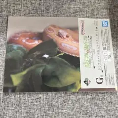 NAGA様 リクエスト 2点 まとめ商品