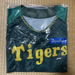 Item thumbnail for item e1f02e36-96ba-4da6-bc90-0f9fd933ad2a