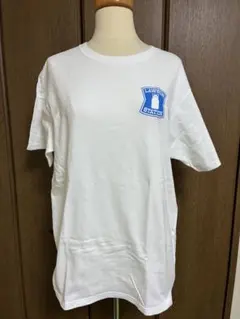 Item thumbnail for item eace5131-0b03-4e00-a268-1c36ff93f1a2