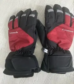WEISSHORN キッズ スキー スノーボード グローブ 19cm