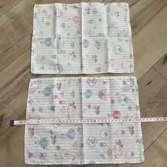 プリンセス柄　ランチマット　幼稚園　ランチョンマット　２枚