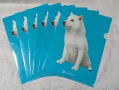 SoftBank☆お父さんボールペン☆非売品☆犬☆北海道犬☆カイくん☆平成