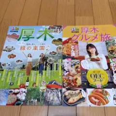 厚木 2025 グルメ旅
