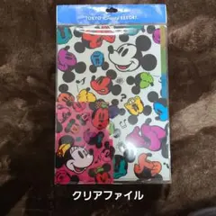 ￥600↘️￥510 東京ディズニーリゾート クリアファイル ミッキー・ミニー