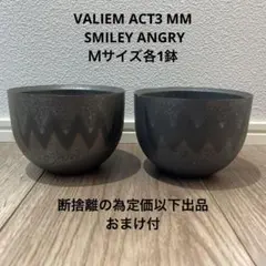 VALIEM ROUGH POT バリエム ラフポット 2025年最新】バリエム鉢の人気アイテム - メルカリ