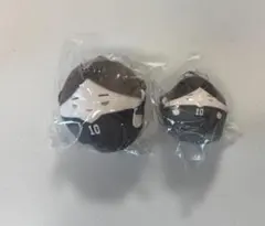 ハイキュー!! くじメイト ぬいくじ2 D賞 E賞 てのりんず 角名倫太郎