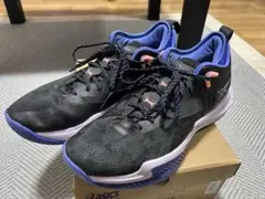 ASICS ノヴァサージロー2 バスケットボールシューズ