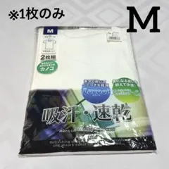 Item thumbnail for item 2ff1e0fe-a717-4b0c-b9c0-991d5d625656