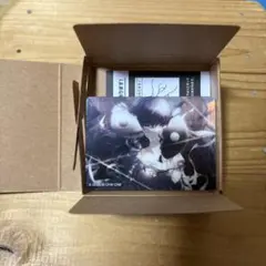 プロセカ ノーブルアート 朝比奈まふゆ 68 ②