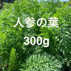 Item thumbnail for item 51f3fe74-4664-4771-abda-75619e78ed3f