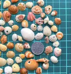 Item thumbnail for item a73b374e-8927-4fcb-a77d-a06727dda0d4