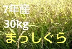 ☆ 令和7年　 　青森県産 　まっしぐら　 玄米〈30kg〉のサムネイル