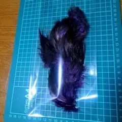 Item thumbnail for item 3087b0c2-4d22-4d89-b169-45781070f700