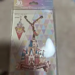 東京ディズニーリゾート シンデレラ城 ストラップ 40周年バッグチャーム