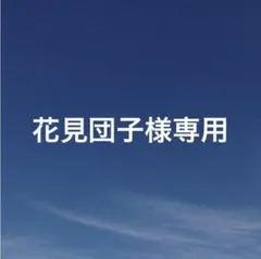 花見団子様 リクエスト 5点 まとめ商品